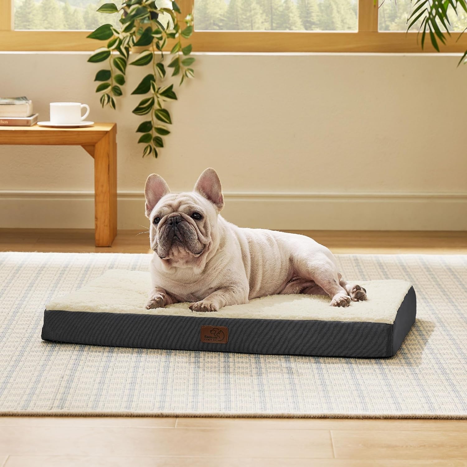 Large Dog Bed for Large Dogs up to 75Lbs - Big Orthopedic Dog Beds with Removable Washable Cover, Egg Crate Foam Pet Bed Mat, Grey