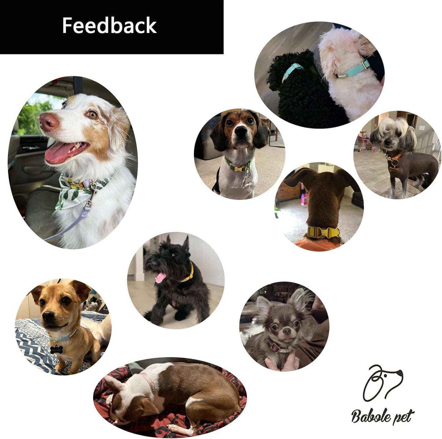 Babole Nylon Dog Collars Lavender for Small Puppy Dog,13 Colors,Adjustable Soft Comfortable Pet Collars with Safety Metal Buckle for Medium Large Boy&Girl&Female Dog(S)