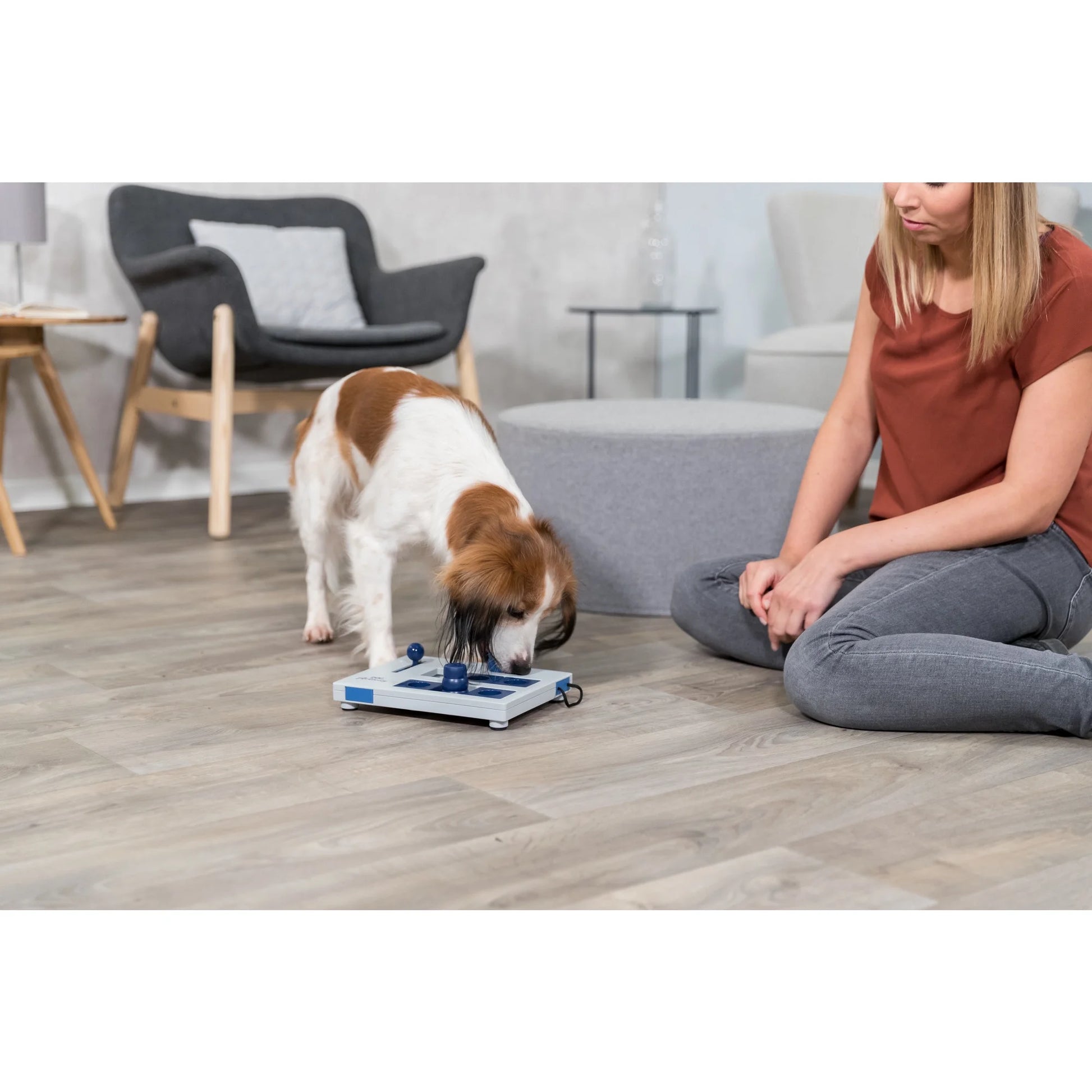 Dog Activity Move2Win Strategy Game, Level 3, Advanced Dog Puzzle Toy, Treat Dispenser