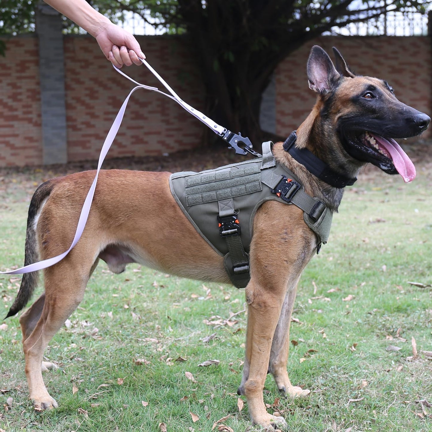 Tactical Dog Harness with 4X Metal Buckle,Dog MOLLE Vest with Handle,No Pulling Front Clip ,Hook and Loop Panel for Walking Training Hiking (Large (Pack of 1), Reflective Black)