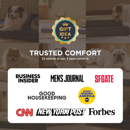 Large Dog Bed for Large Dogs up to 75Lbs - Big Orthopedic Dog Beds with Removable Washable Cover, Egg Crate Foam Pet Bed Mat, Grey