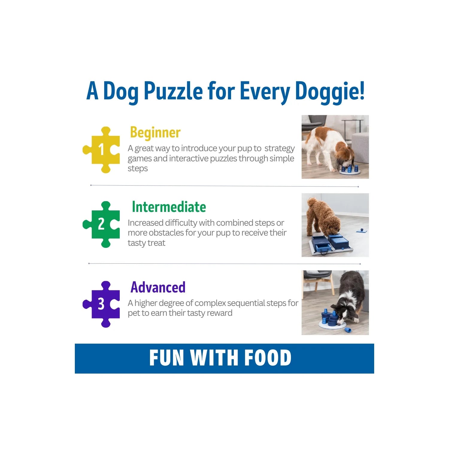 Dog Activity Move2Win Strategy Game, Level 3, Advanced Dog Puzzle Toy, Treat Dispenser