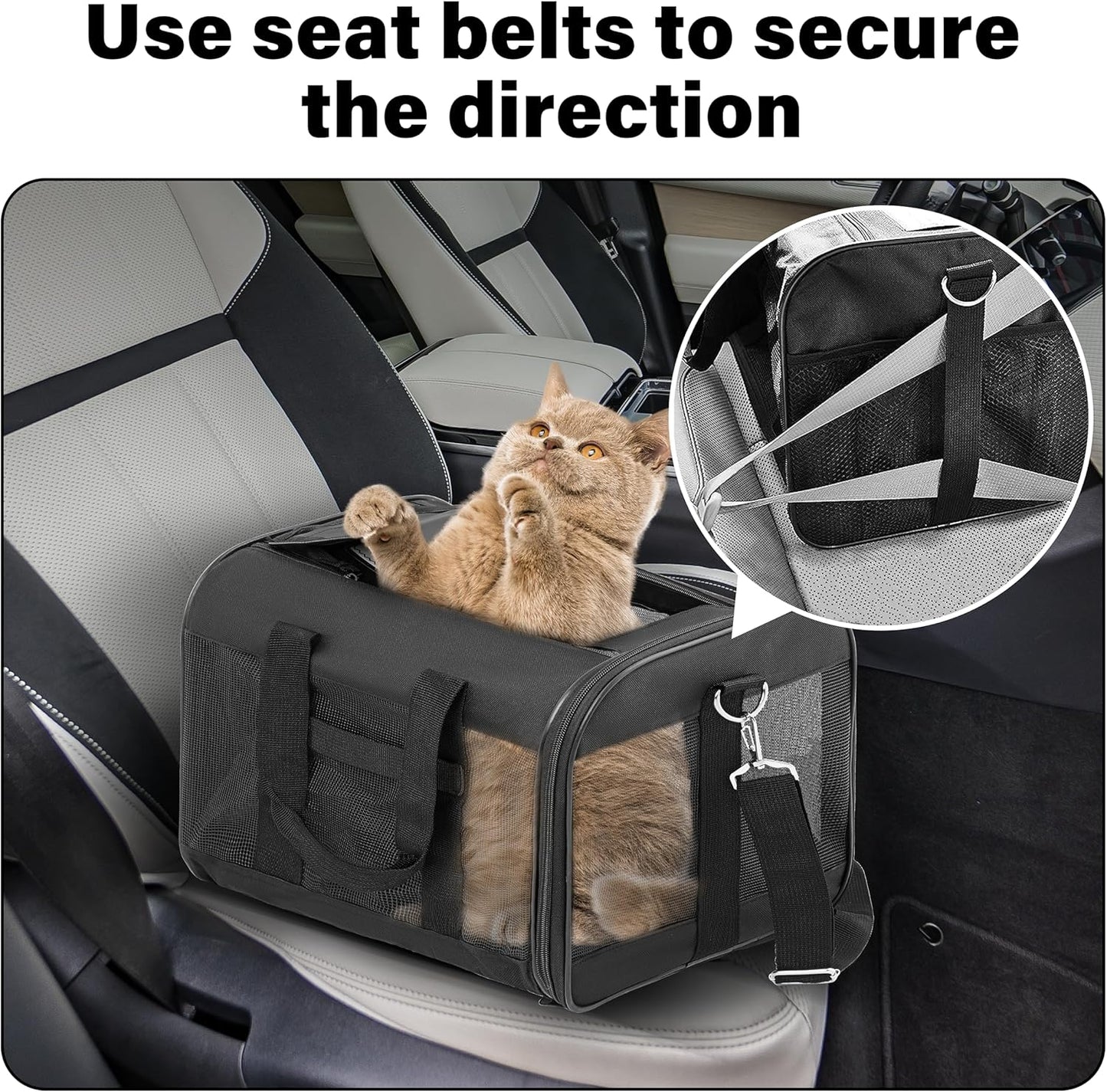 Scratchme Pet Travel Carrier Soft Sided Portable Bag for Cats, Small Dogs, Kittens or Puppies, Collapsible, Durable, Airline Approved, Travel Friendly, Carry Your Pet with You Safely and Comfortably