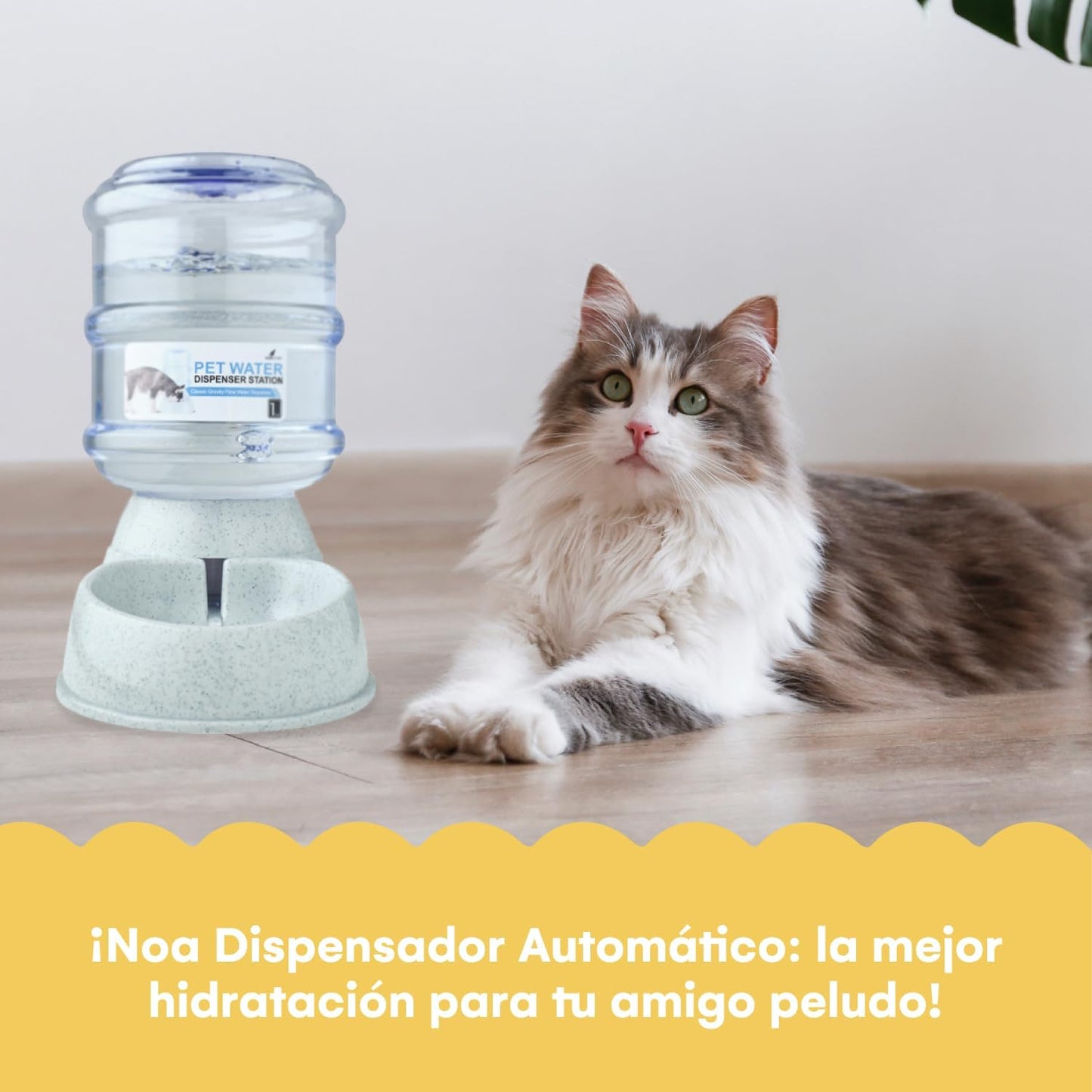 Automatic Pet Feeder | Food Dispenser for Cats and Dogs - Gravity Feeder - Automatic Cat Feeder/Dog Feeder - Dog and Cat Feeding Supplies