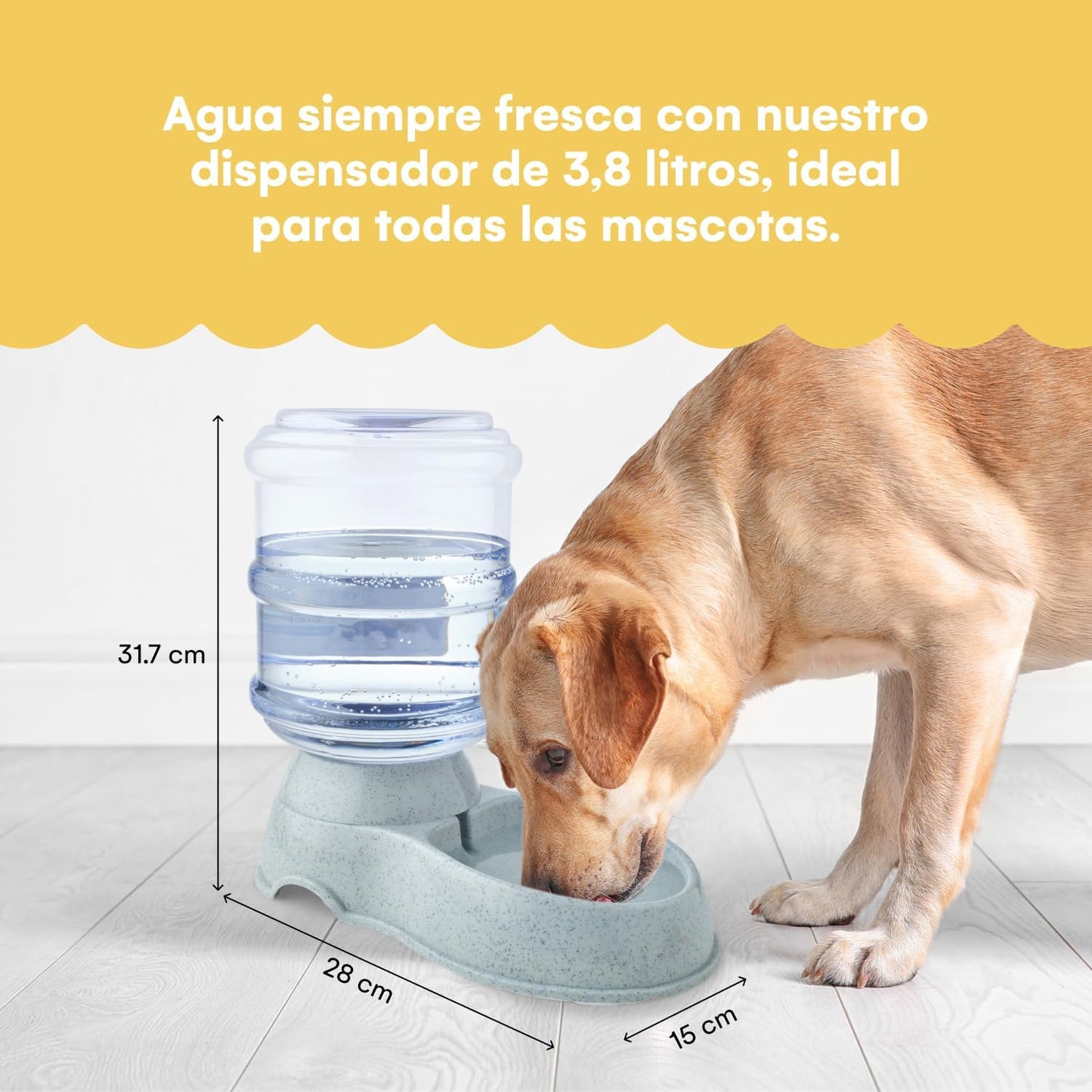 Automatic Pet Feeder | Food Dispenser for Cats and Dogs - Gravity Feeder - Automatic Cat Feeder/Dog Feeder - Dog and Cat Feeding Supplies